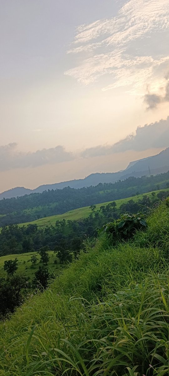 DPMANDA89's tweet photo. वह भाई क्या नेचर है मजा आ गया आज तो घूम कर बहुत मजा, मुंबई hill station like aap batao kaise ho, Mumbai Nashik area bahut hi shandar hai 
#Mumbai #hill #MumbaiMeriJaan #tourister https://t.co/5foLuExBsH