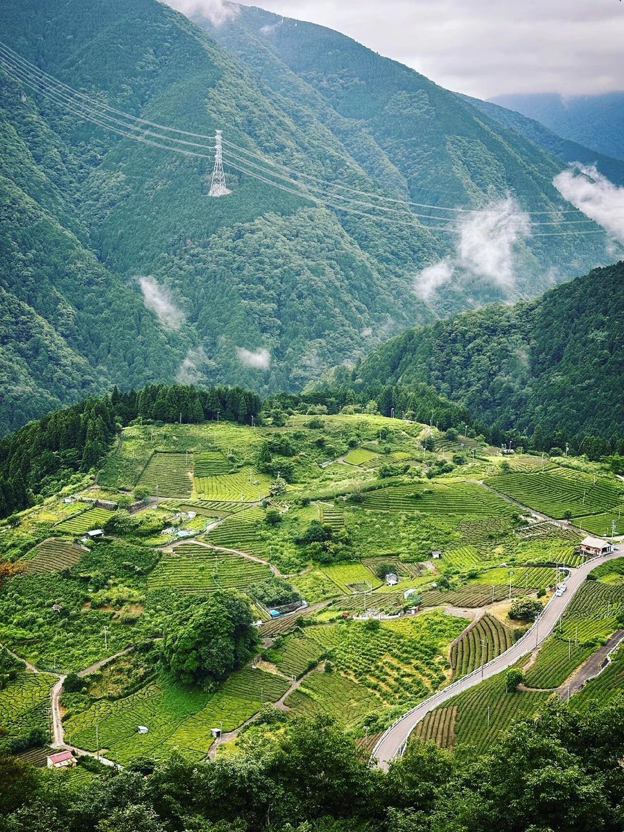 MAHADEVASFA's tweet image. 空に浮かぶロープウェイで、素晴らしい景色を楽しもう！🏞️💕  
緑の山々や穏やかな川、美しい花々が広がる。🌻🌈  
心が癒される場所、ここにあります！🍃✨