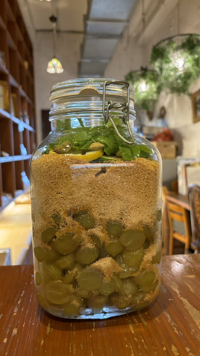 現在の自家製シロップドリンクは
”シャインマスカット”です。
クローブやカルダモン等のスパイスが入っております🫚
本日もどうぞよろしくお願いします🌱