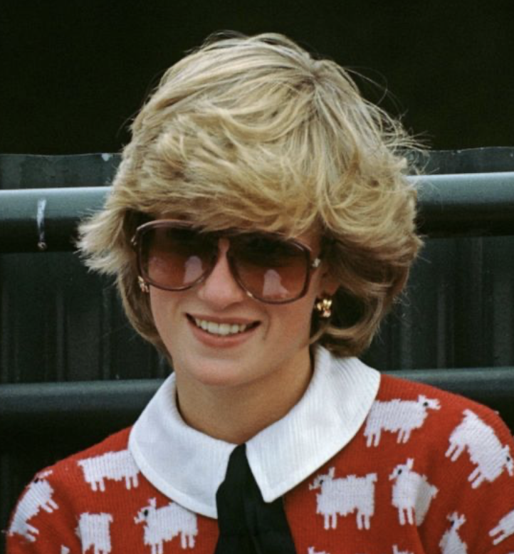 Modernitgirl's tweet photo. Need a GOOD #fallsweater ?! #PrincessDiana sweater available now! (https://t.co/Nes9k5RrKH) #itgirl #styleguide https://t.co/PFoRV3qdIN