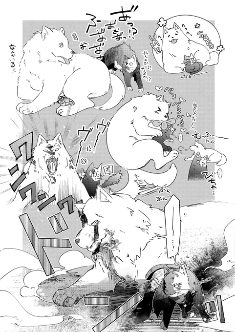 うめさくの概念🐶🐱 