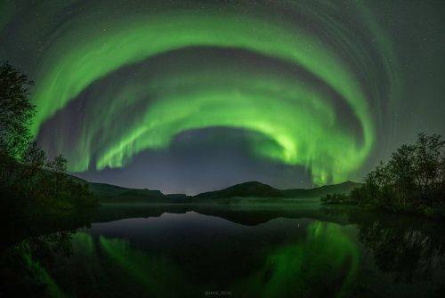 35PHOTO_main's tweet photo. Зеленый змий https://t.co/Ju8bnuyG5o https://t.co/LvCkvpd0ZK
