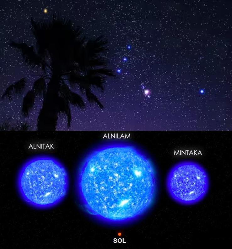 EnsedeCiencia's tweet photo. Las estrellas Alnitak, Alnilam y Mintaka, también conocidas como ''Las Tres Marías''.
Estrellas gigantes que se encuentran en el cinturón de Orión, las cuales se pueden ver prácticamente en todo el mundo.
Esta es una comparación del tamaño aproximado de ''Las Tres Marías'' frente a nuestro Sol. ⭐️🔭