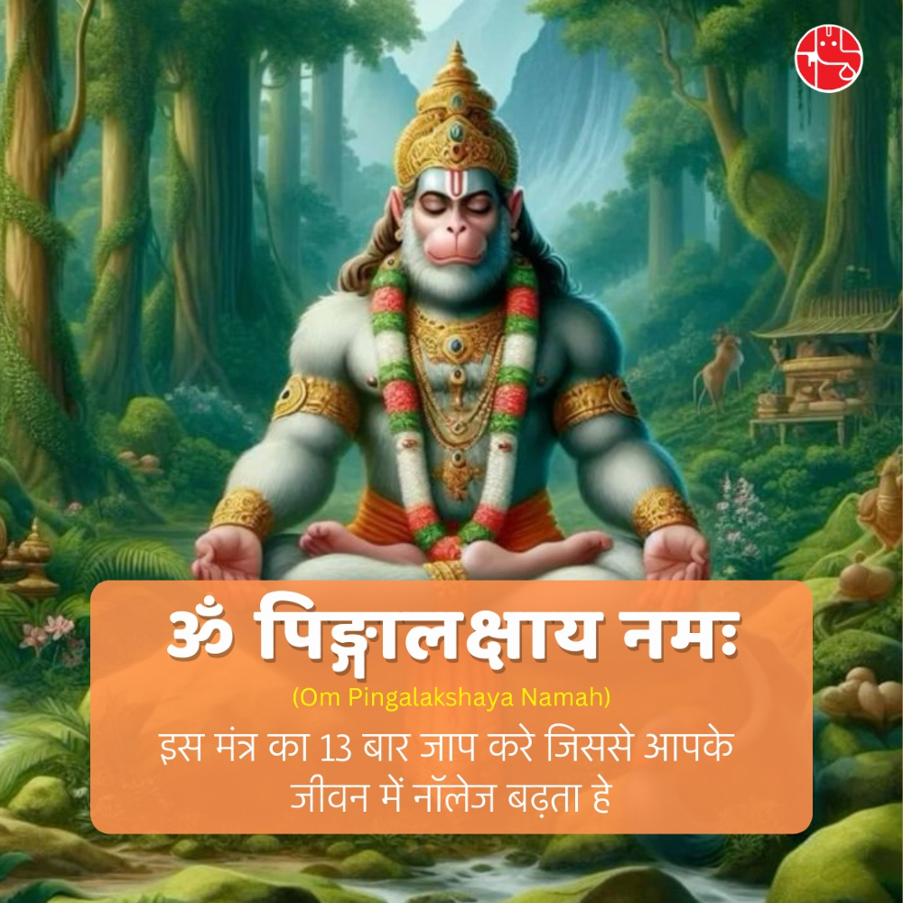 GaneshaSpeaks's tweet image. Mantras that nourish the spirit..🙏
ॐ पिङ्गालक्षाय नमः। इस मंत्र का जाप करने से नॉलेज बढ़ता है।

Get First chat free on first consultation from GaneshaSpeaks. Connect with our expert astrologers : ganeshaspeaks.com

#Mantraoftheday #MantraChanting #ChantingMeditation