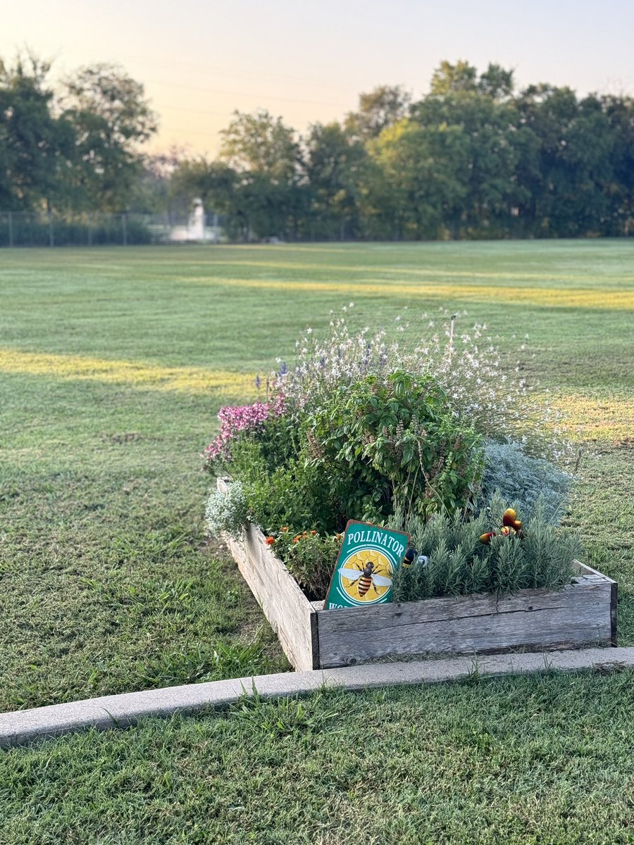 With out a doubt, <a href="/nwdvikings/">Norwood Vikings</a> has the best back yard! 💚<a href="/BurlesonISD/">BurlesonISD</a>