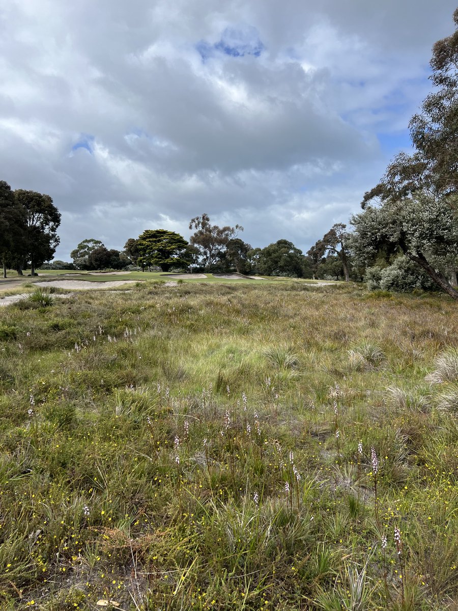 Mike Clayton tweet media