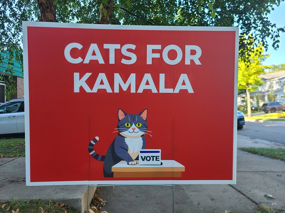 Meow.... meow meow meow.