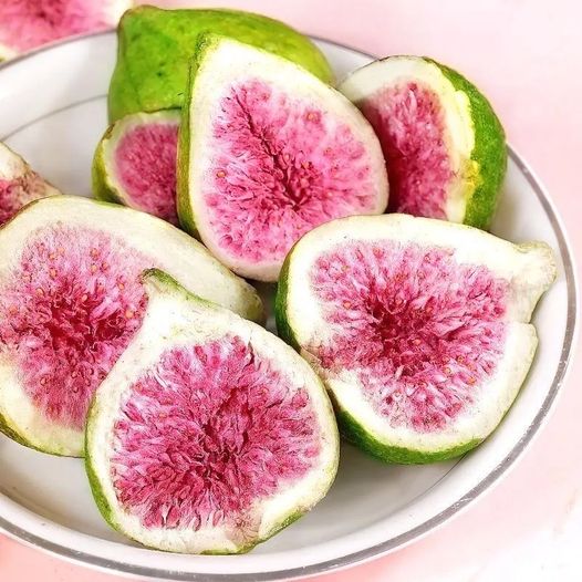 FeiSunshineCode's tweet image. Crispy freeze-dried figs, freeze-dried to retain nutrients
Your snack partner
Contact me📷
Email: fei@sunshinecode.net
WhatsApp: 8615206926174
WeChat/phone:8615098950691