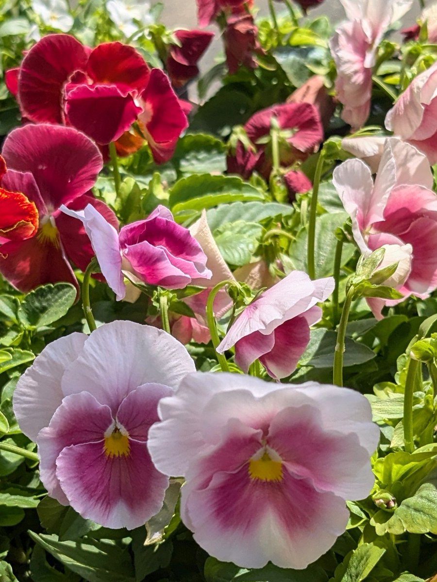 🎀(⁠ •⁠ᴗ⁠•⁠ )🍀
季節の変わり目
お体に気をつけて
過ごしてくださいﾈ

🌈🕊✨Peace✨🕊🌈