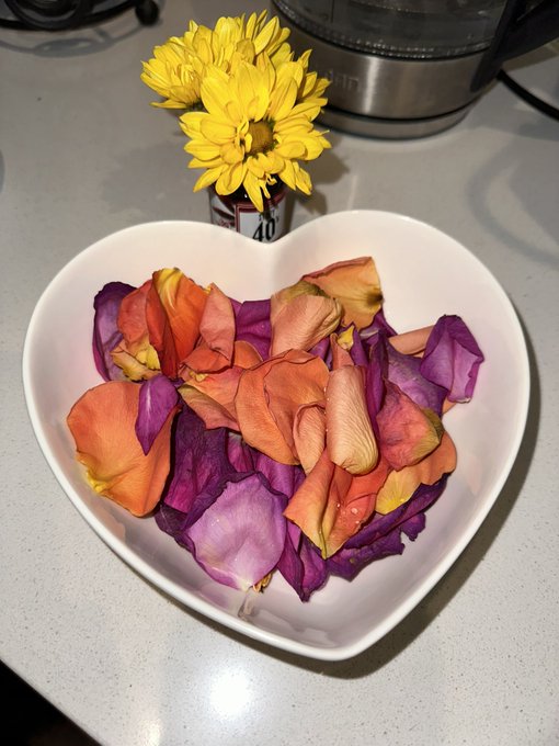 What should I do with all of these rose petals?? https://t.co/iK7HLoAOXg