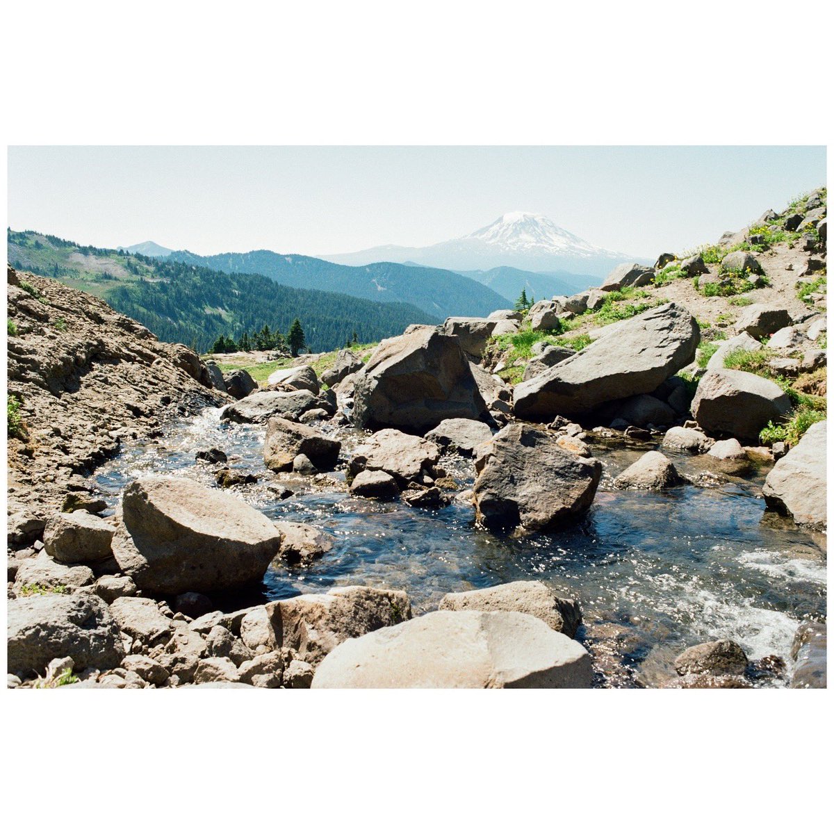 forestoutside's tweet image. Washington trails on ColorPlus 🎞️