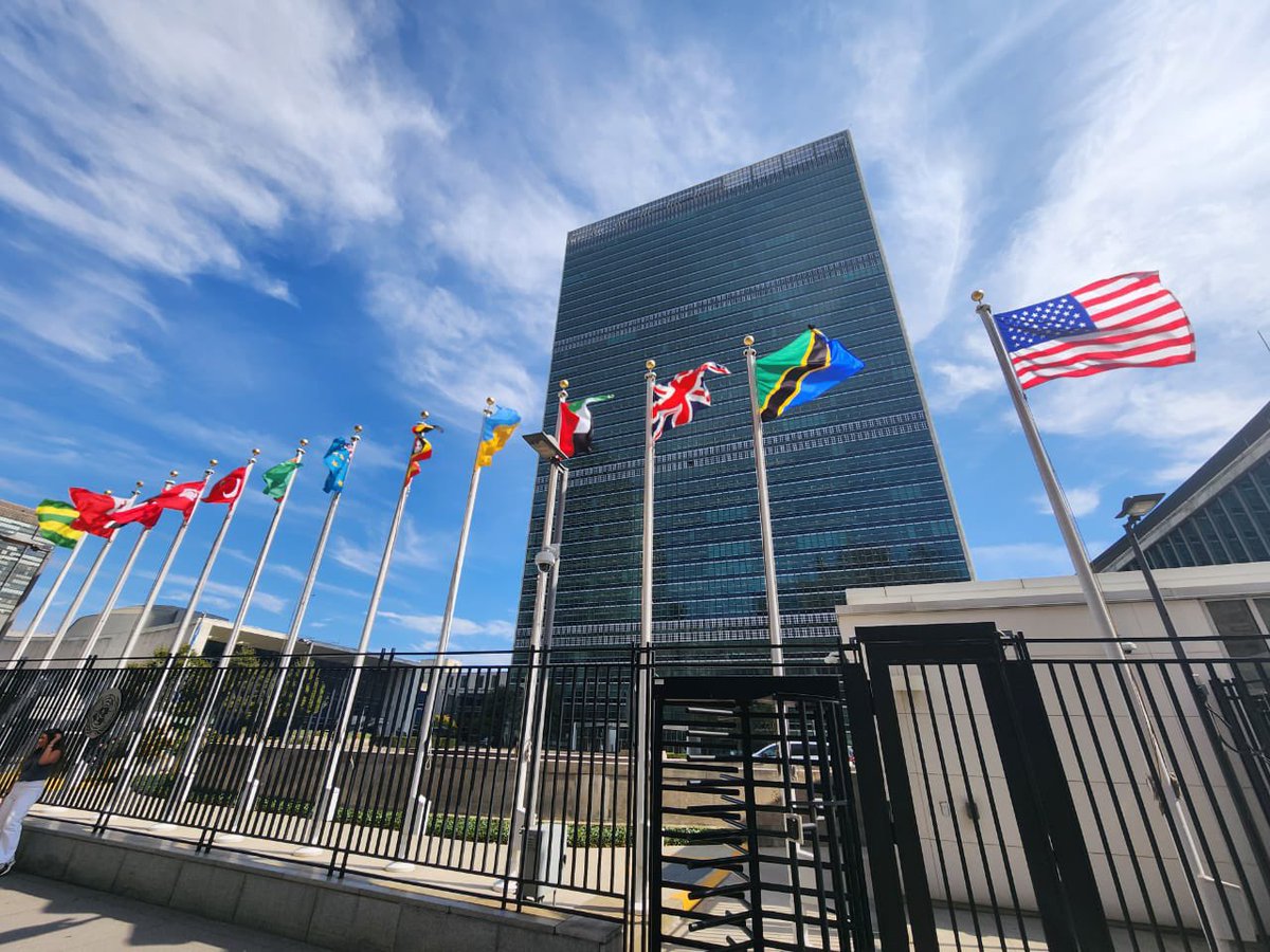 Stephen Chacha tweet media