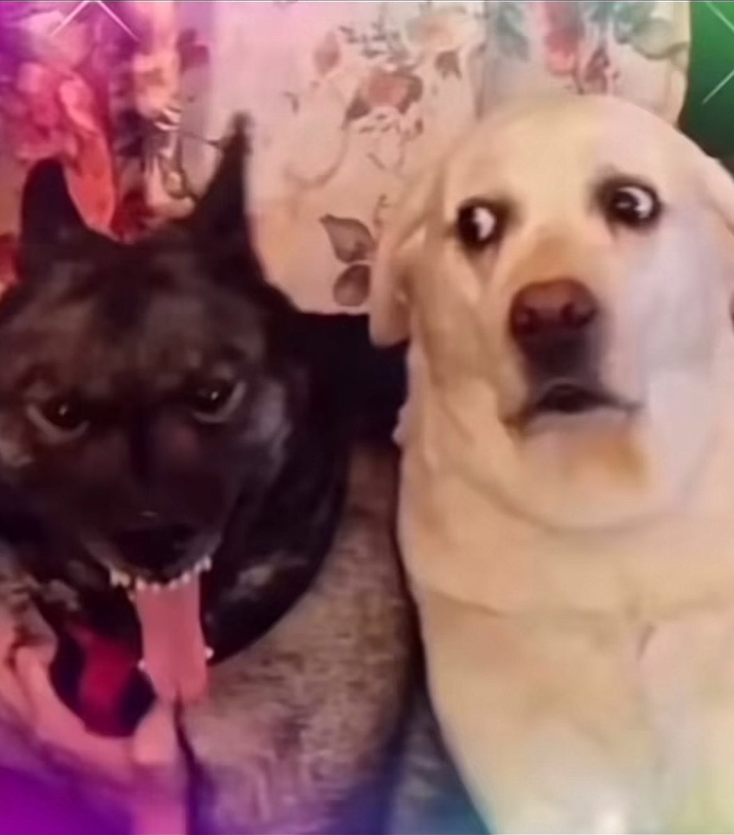 UnderUnrivaled's tweet image. #metspregame