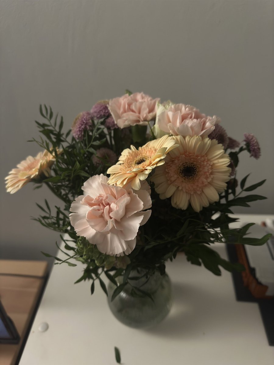 vs_h_m's tweet photo. yearly flower photo for my birthday @KierannMoss 🤍 https://t.co/gGrVG5n3TM