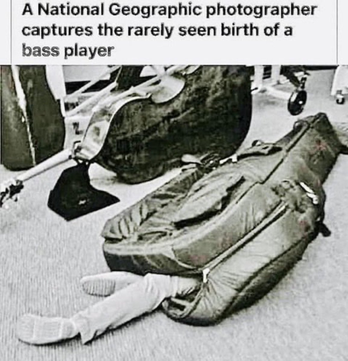 davidcoverdale's tweet image. 😳😳😳😳😳