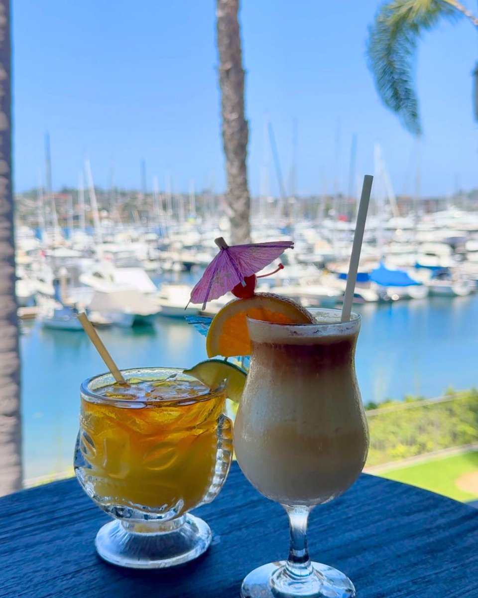 BlueWaveIP's tweet image. Endless summer vibes in our Shelter Island oasis 🍹 Sip Piña Coladas and Mai Tais while soaking up the San Diego sunshine — paradise found! 🏖️✨

#BlueWaveBarandGrill #IslandPalms