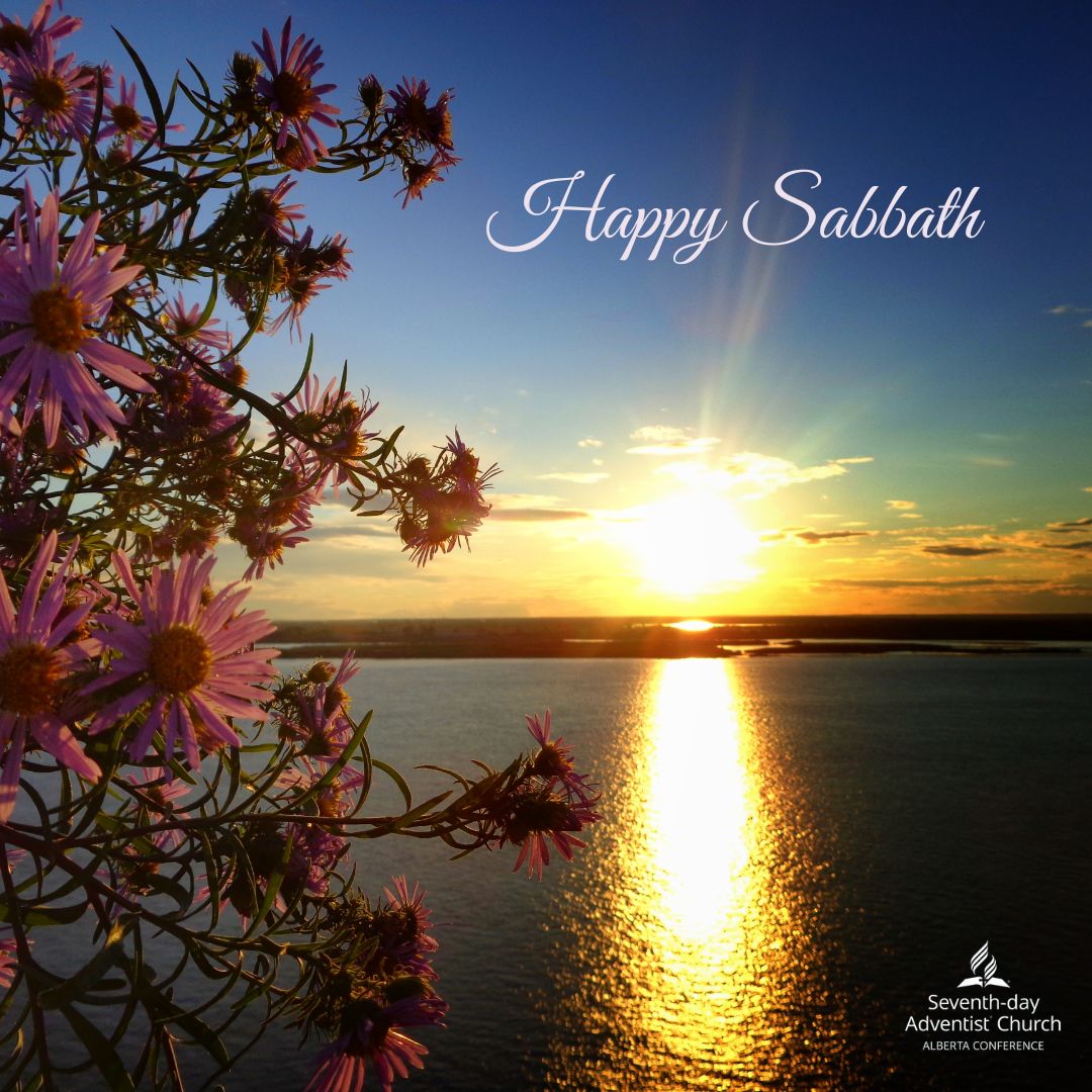 ABAdventist's tweet image. Have a blessed Sabbath!
 #BlessedSabbath #SabbathVibes #FaithJourney #SpiritualBlessings #RestAndReflect #PeacefulSabbath #SabbathBlessings #odayofrestandgladness #happysabbath