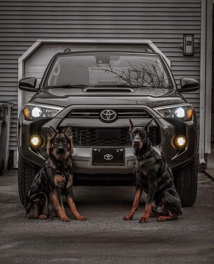 تنشيط حسابات 
اكتب تم وتابع من تابعك 
رتويت