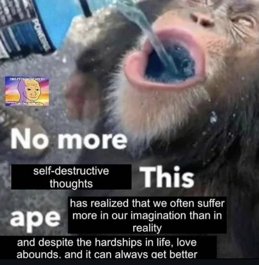 ✧ (@northstardoll) on Twitter photo 