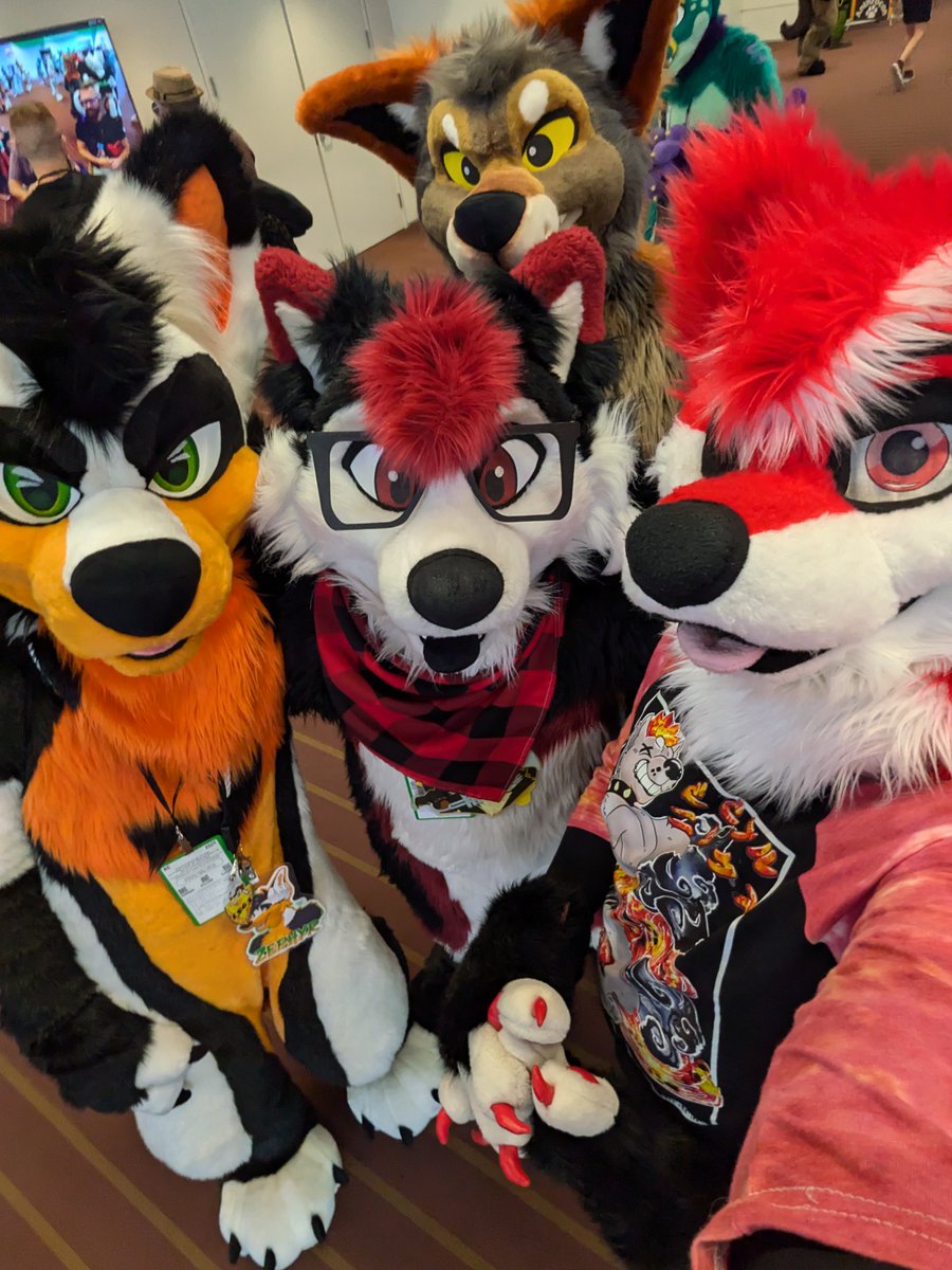Everyone is posting pics from Furry Migration and Megaplex. Then you have me over here who still needs to share a bunch of pics from Anthrocon. #FursuitFriday 

🐺: <a href="/CobaltDeCarrots/">Cobalt / Severite 🔜 FWA</a>, <a href="/Zephyr_Jackal/">▫️🔸Zephyr ◾️🔶 🔜 FWA</a>, <a href="/ZitoTheHusky/">Zito 🔜 FWA</a>, <a href="/AjaxStarlight/">Ajax Starlight 🔜 TFF, FM</a>