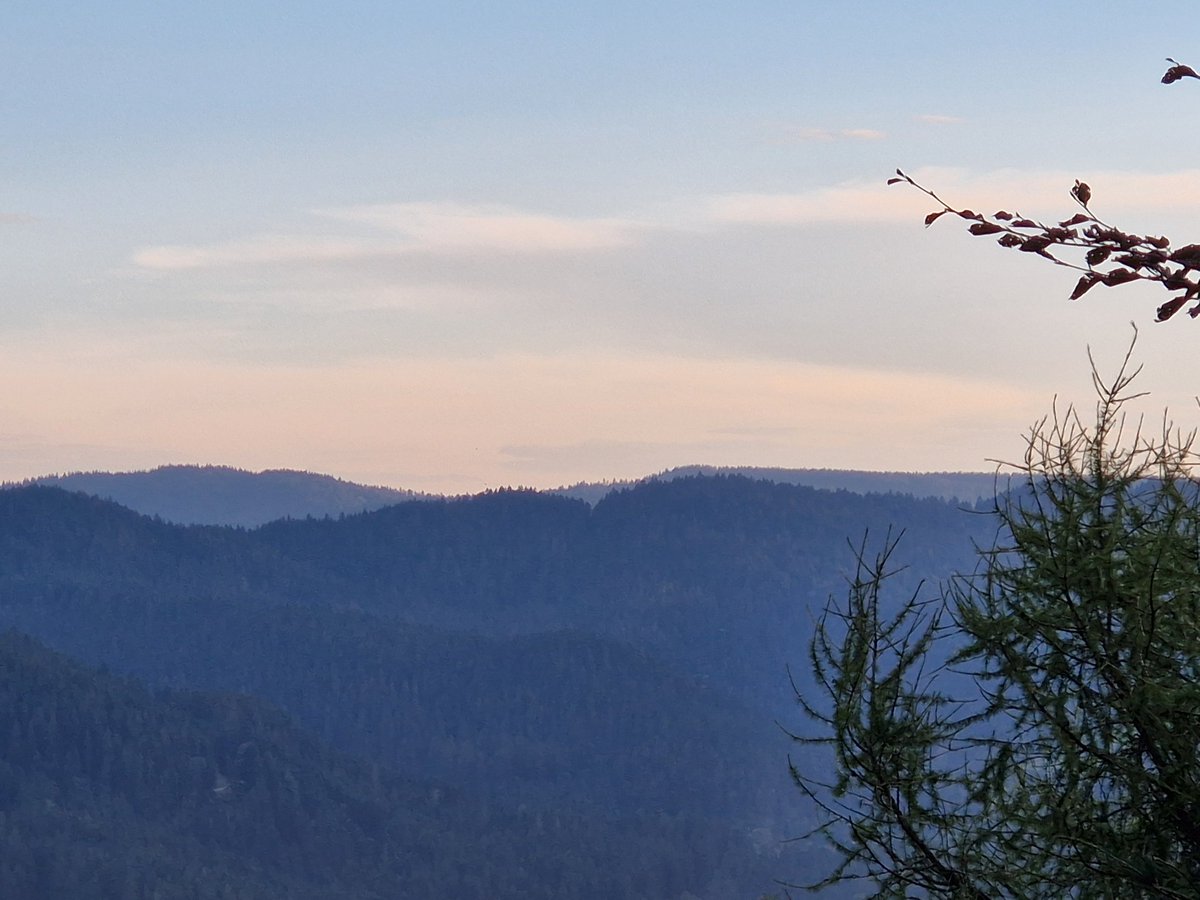 Daniel Lacour tweet media