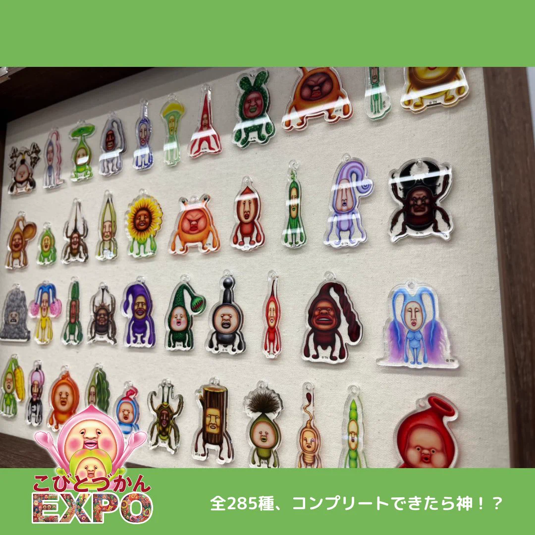 こびとづかん公式📚🌿 on X: 