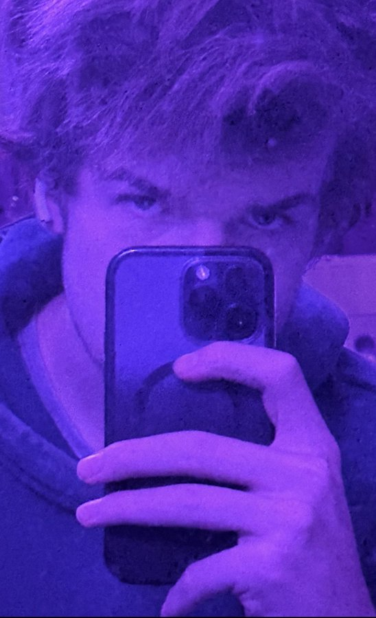 Cat 🩵 tweet media