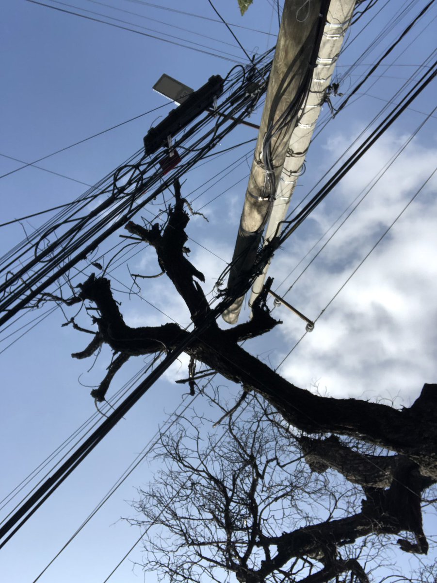 chemalocutor's tweet image. @CFEmx …qué tal, saludos y bueno vean el peligro para vecinos, ustedes y la zona.
ESTA A PUNTO DE TIRAR  poste y cables de esta calle, Cantera en @TlalpanAl .
Qué hacemos…? Gracias 👍🏽