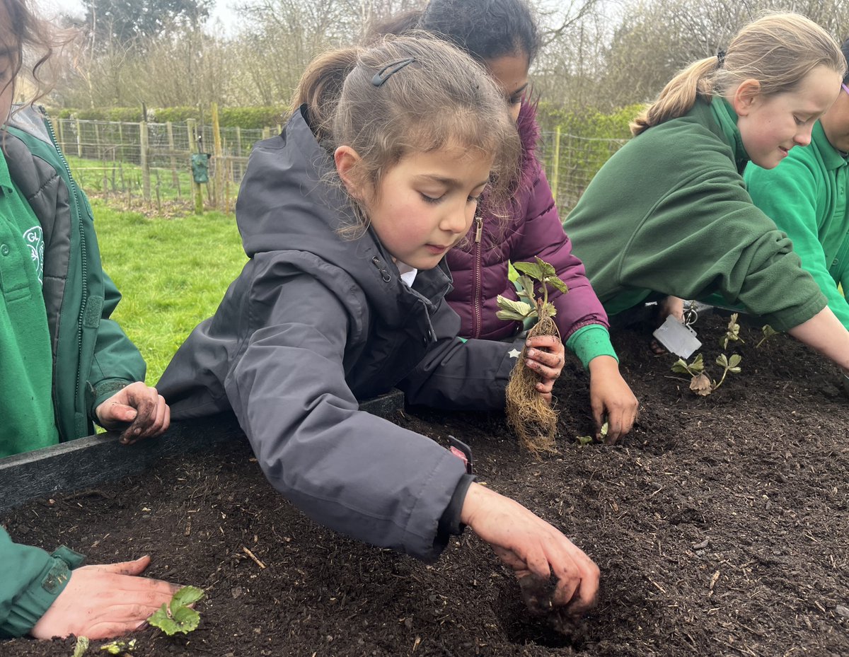 Rooted in nourishing young minds, the <a href="/VeoliaUK/">Veolia | UK</a> orchards scheme is back and branching out to more schools in Kingston. 

Apply now before 8 November to become part of the family tree: veolia.co.uk/veolia-orchard
#GreenerKingston