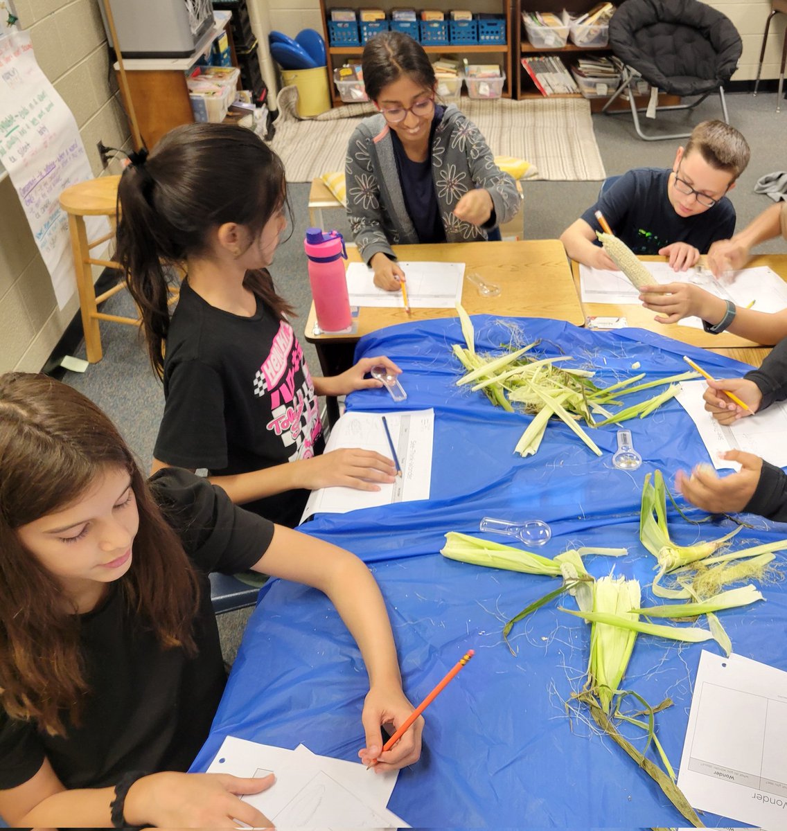 Investigating corn part 2! Interest and curiosity were piqued! Literacy can be fun! Successful launch day <a href="/missbowmann/">Hannah Bowman</a> <a href="/allisongcovey/">Allison Covey</a> and Mrs. Horner! 🤗 #cresculture #cresallstars