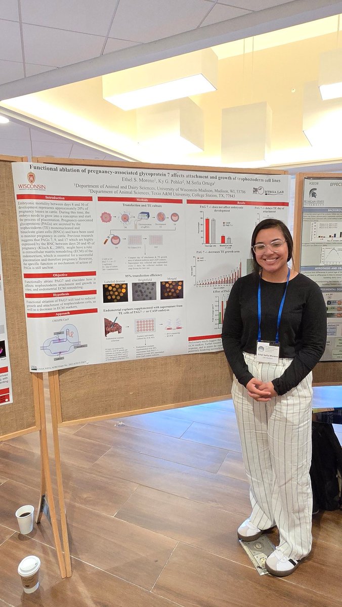 Sofía Ortega tweet media