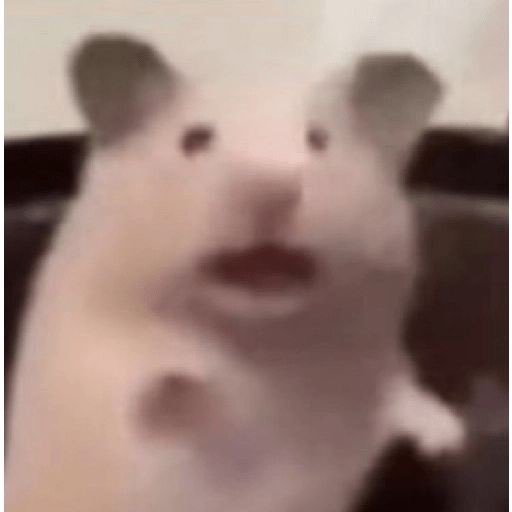 bro idk much about frieren BUT THE ZOLTRAAK OST GODDAMN ITS SO GOOD