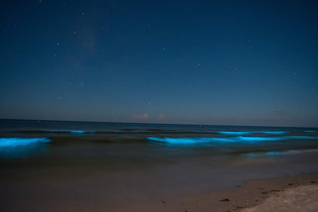 FloridaVacations tweet media