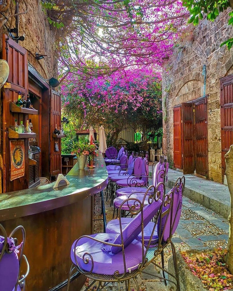 Jubil John tweet media