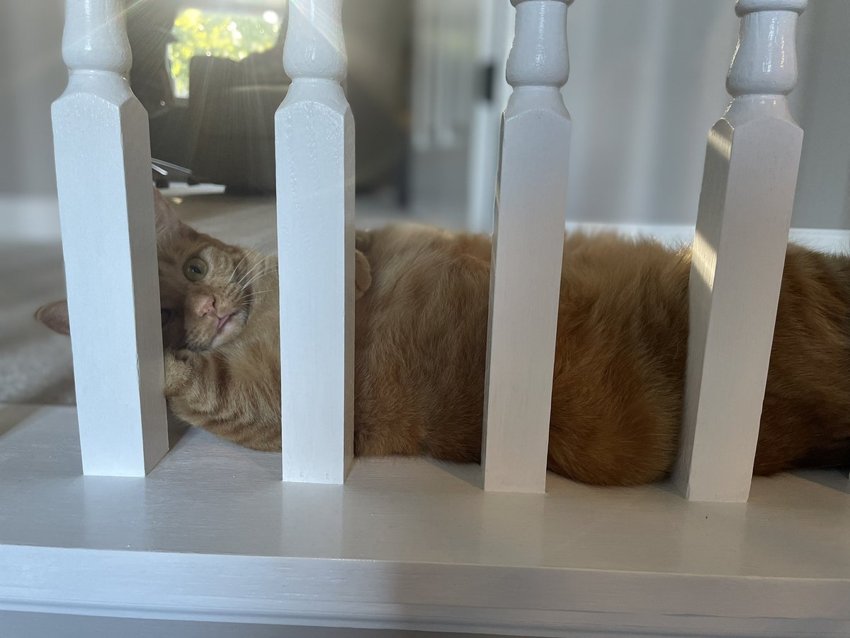 Mythiical tweet media