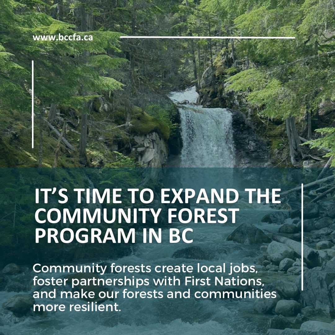 Community forests empower local decision-making on forest resources. The BCCFA urges the government to expand the program, giving more rural communities access and helping current tenures grow. Learn more and find resources to share at bccfa.ca/bccfa-key-reco…
