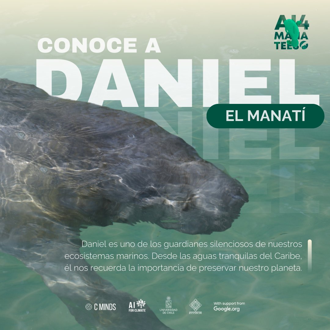 CMinds_co's tweet photo. 🤝 Daniel es el recordatorio viviente de la importancia de cuidar nuestros ecosistemas y las especies que ahí habitan.

¡Sigue nuestros proyectos y acompáñanos en esta misión para proteger a los Manatís!

🔗 Descubre más sobre AI4Manatees en: https://t.co/HzgF2lYnck https://t.co/sdzbtdfYKh