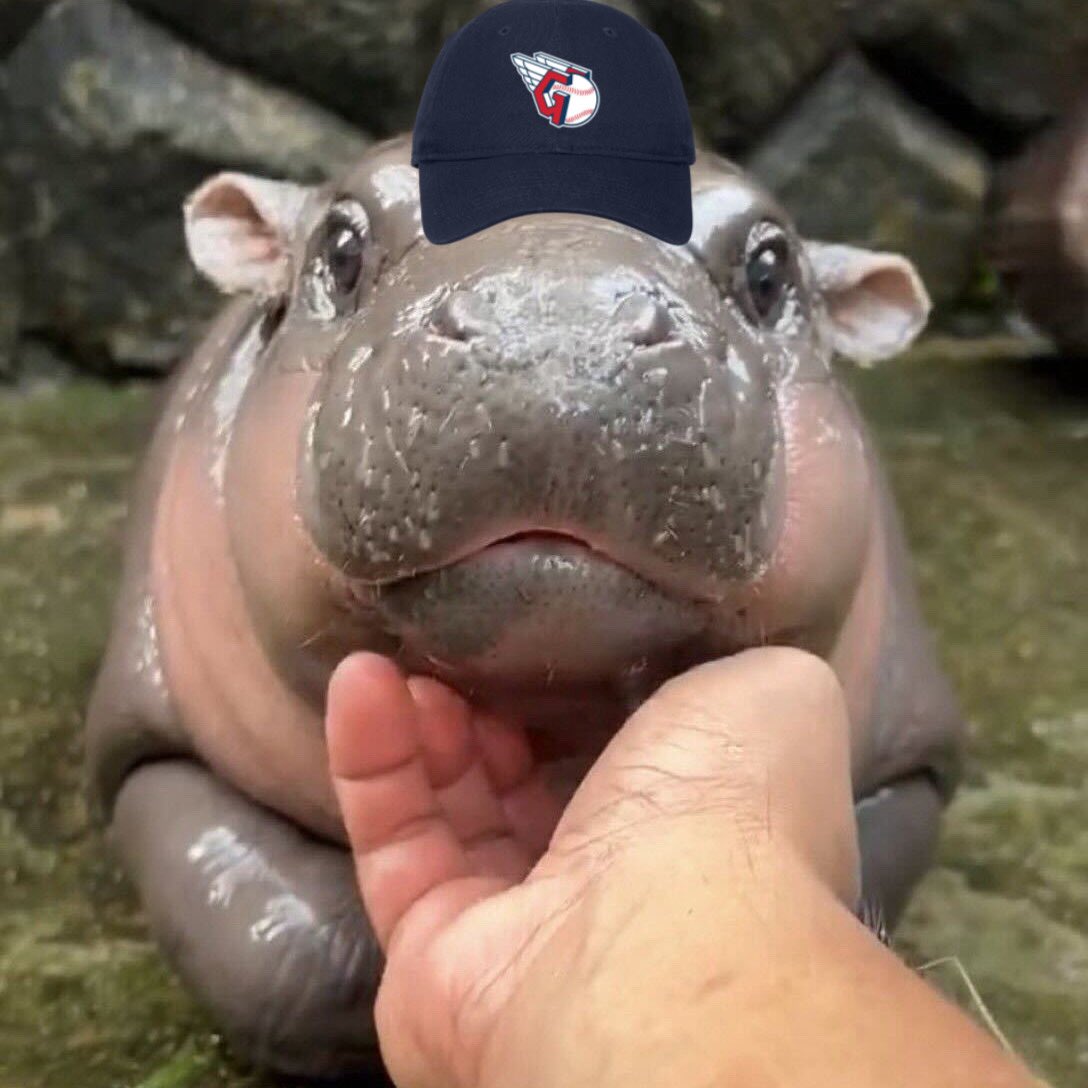 the Cleveland Guardians as Moo Deng🦛
a thread🧵✨