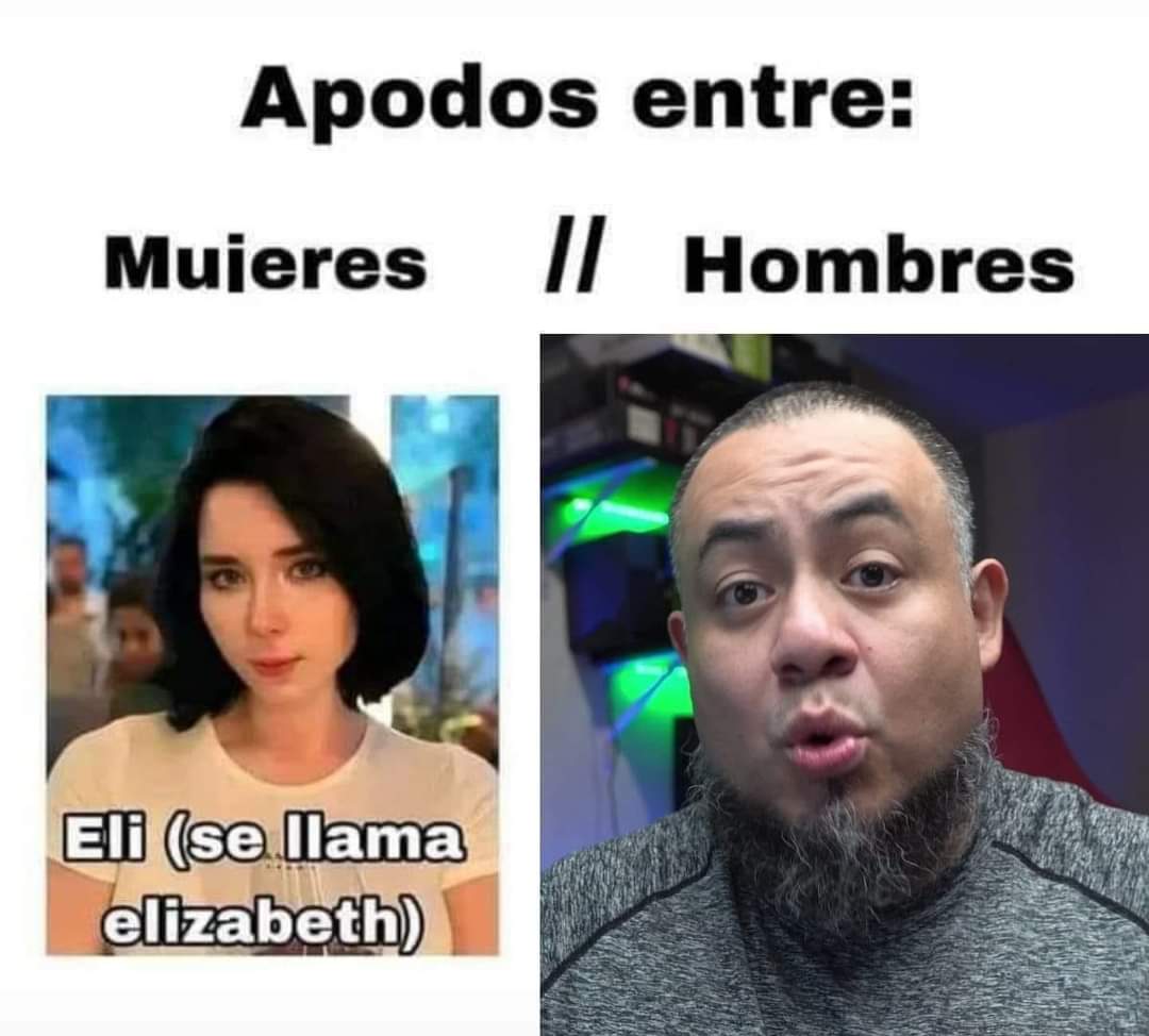 chiwi is love🐶 tweet media