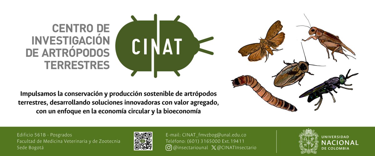 Los 🐛🦗🐞 están llenos de soluciones a desafíos globales como el cambio climático 🌍
📅 27/09: Participamos en la Pre-COP16 UNAL:
1️⃣ Muestra CINAT: 
🕘 9:00 - 16:00h 📍 Química
2️⃣ Conferencia: El potencial de los insectos
🕘 12:00h 📍 Edificio 454
extension.bogota.unal.edu.co/pre_cop16bog