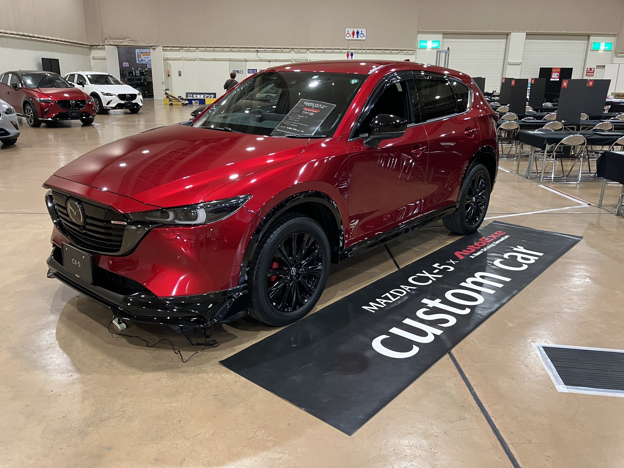 ガ*ア様 【送料無料】2本 オートエクゼ エグゼAutoexe ダウンサス MA オートエクゼ 【ポイント倍率アップ】オートエグゼ(AUTOEXE