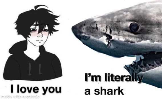 Sharks Daily 🦈 tweet media