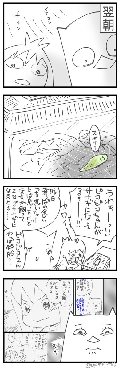前回 