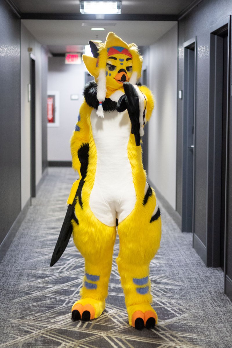 Hey you!

...can I have some of that bread?

#FursuitFriday 
📸  @/HazmatRosen