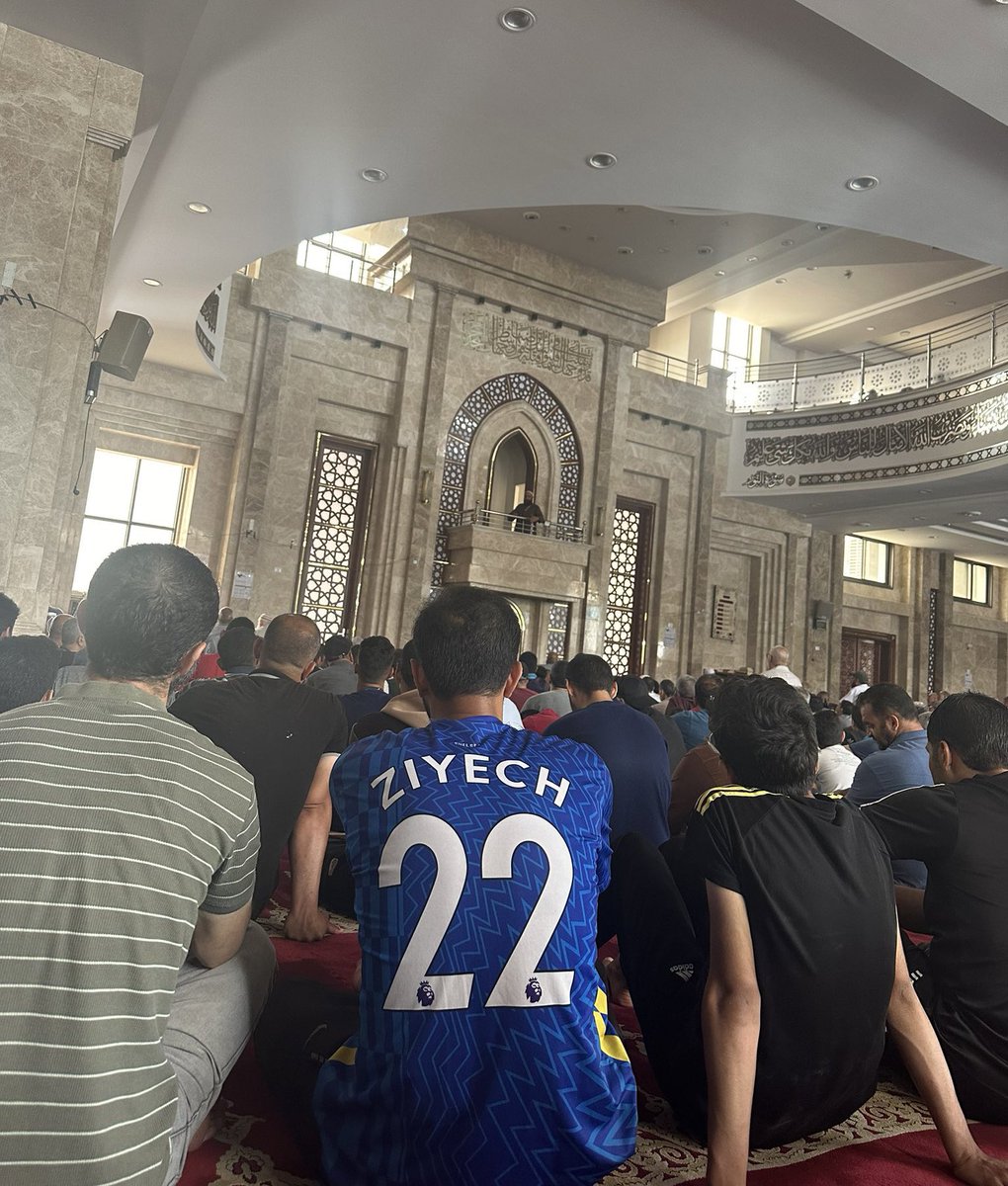 free 🇵🇸 tweet media