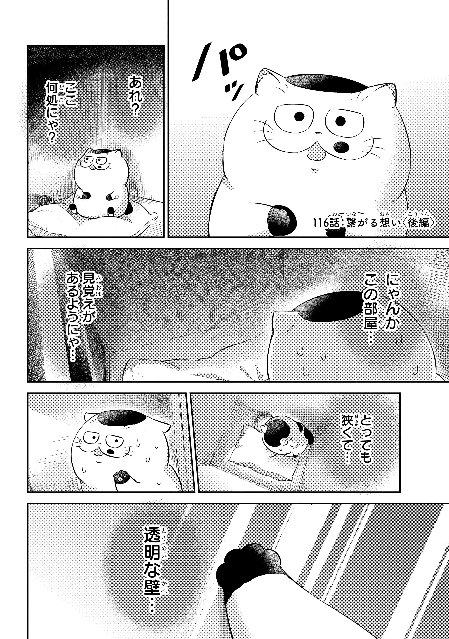 桜井海@おじ猫15巻6/12発売決定! on X: 桜井海@おじ猫15巻6/12発売決定! on X: