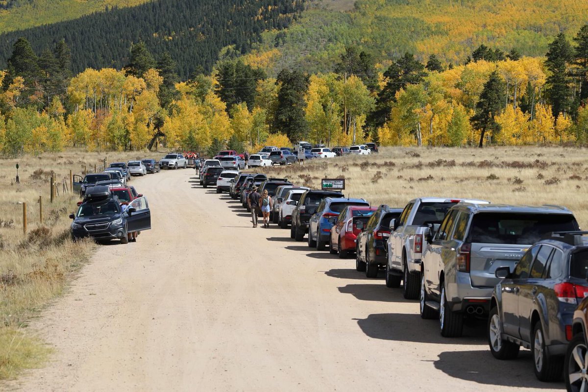 BillBenson14's tweet image. Kenosha pass today 9.20.   Glad I was there yesterday.  #Colorado  #leafpeeping #aspentree