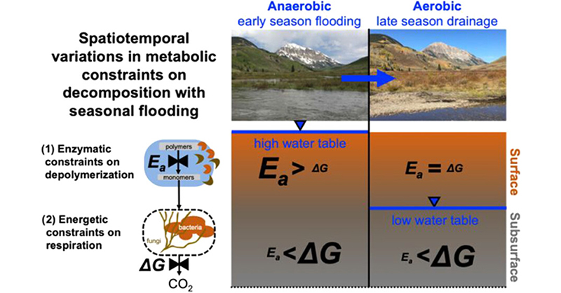 Environmental Science & Technology Journals (@envscitech) on Twitter photo A team led by <a href="/KeiluweitLab/">Soil Biogeochemistry at UNIL (Keiluweit Lab)</a> of <a href="/unil/">Université de Lausanne</a> provides strong evidence that #SeasonalFlooding and associated #Oxygen limitations impose both enzymatic and energetic constraints on #OrganicMatter degradation in soils. #ClimateChange
ES&T: go.acs.org/aWl A team led by <a href="/KeiluweitLab/">Soil Biogeochemistry at UNIL (Keiluweit Lab)</a> of <a href="/unil/">Université de Lausanne</a> provides strong evidence that #SeasonalFlooding and associated #Oxygen limitations impose both enzymatic and energetic constraints on #OrganicMatter degradation in soils. #ClimateChange
ES&T: go.acs.org/aWl