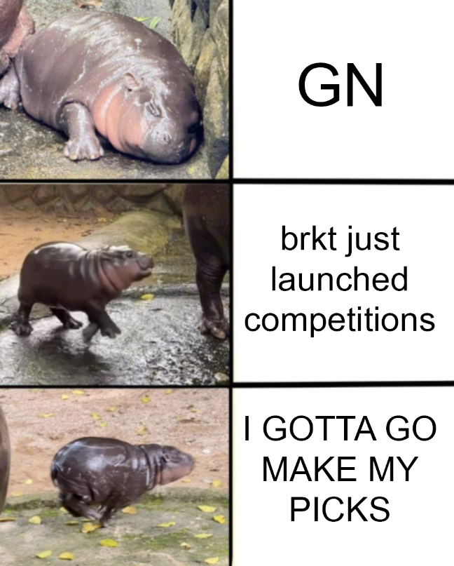 BRKTgg's tweet photo. MOODENG SUPREMACY 🦛🦛🦛