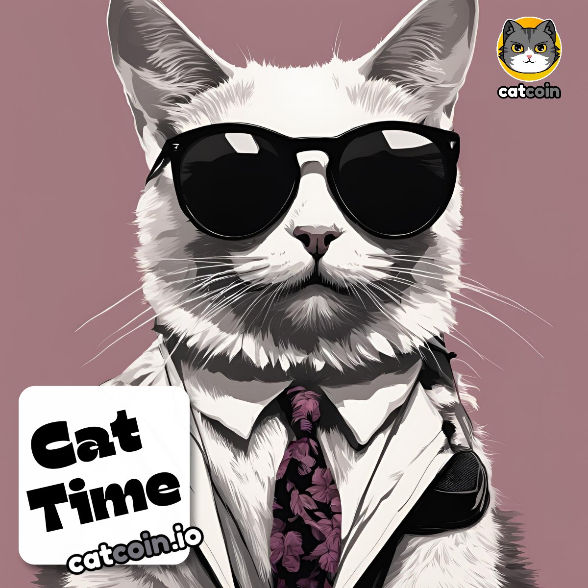 Official Catcoin tweet media